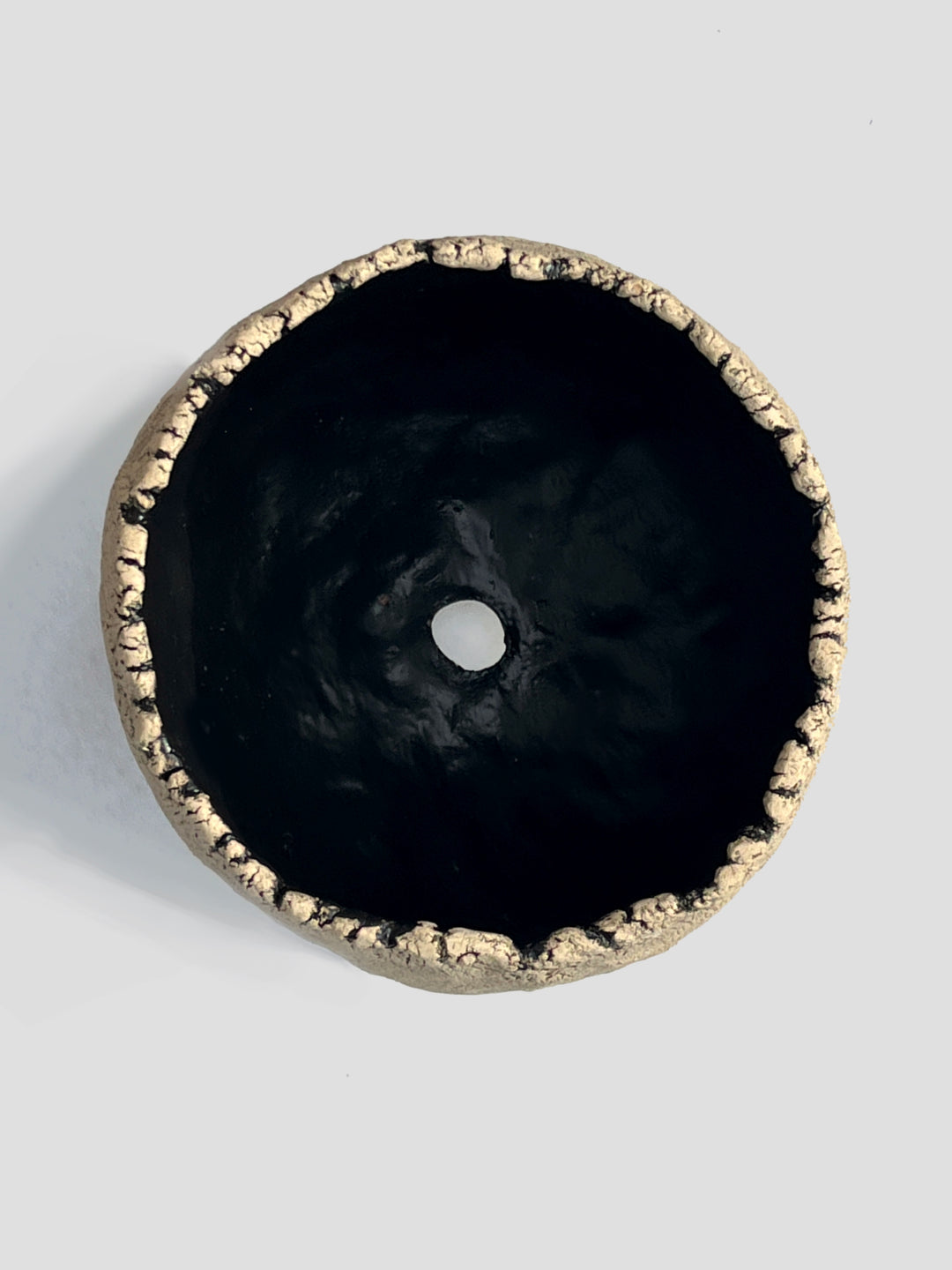 希少❗️巨大❗️フィカス　ジン　朴✨ フィカス・ジン – 西和造園